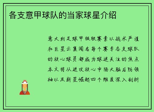 各支意甲球队的当家球星介绍